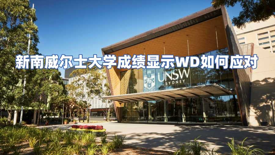 新南威爾士大學成績顯示WD如何應對