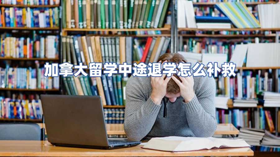 加拿大留學中途退學怎么補救