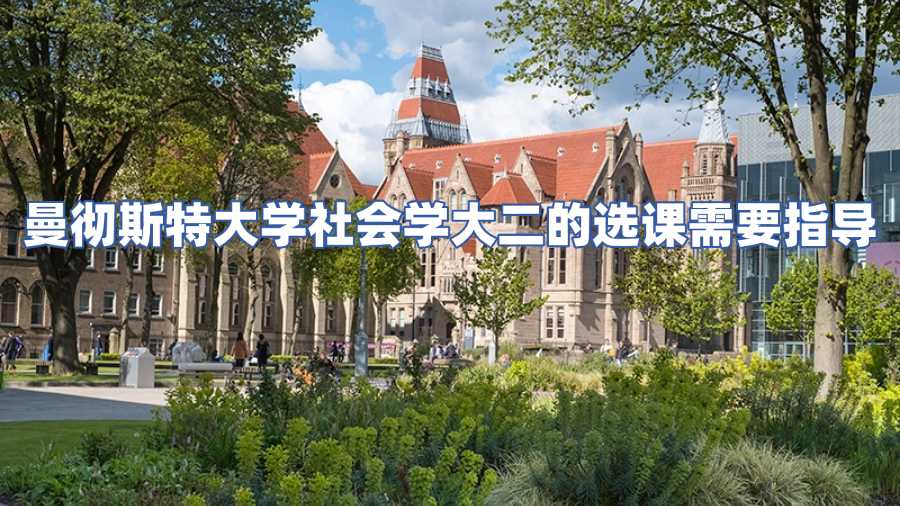 曼徹斯特大學選課指導