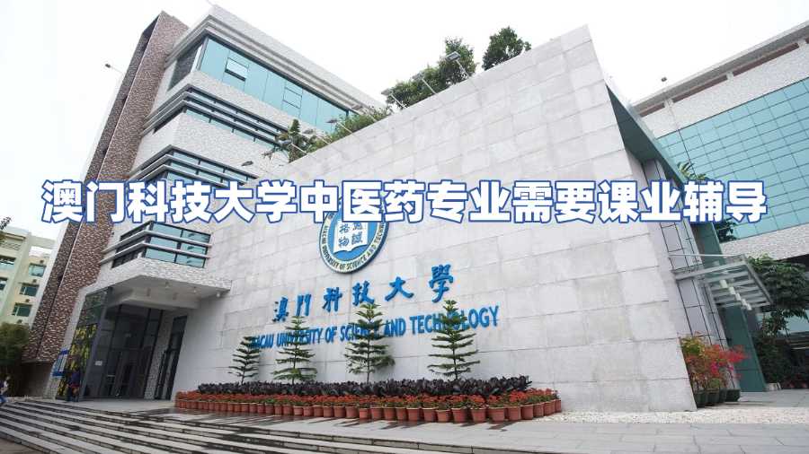 澳門科技大學中醫藥專業需要課業輔導