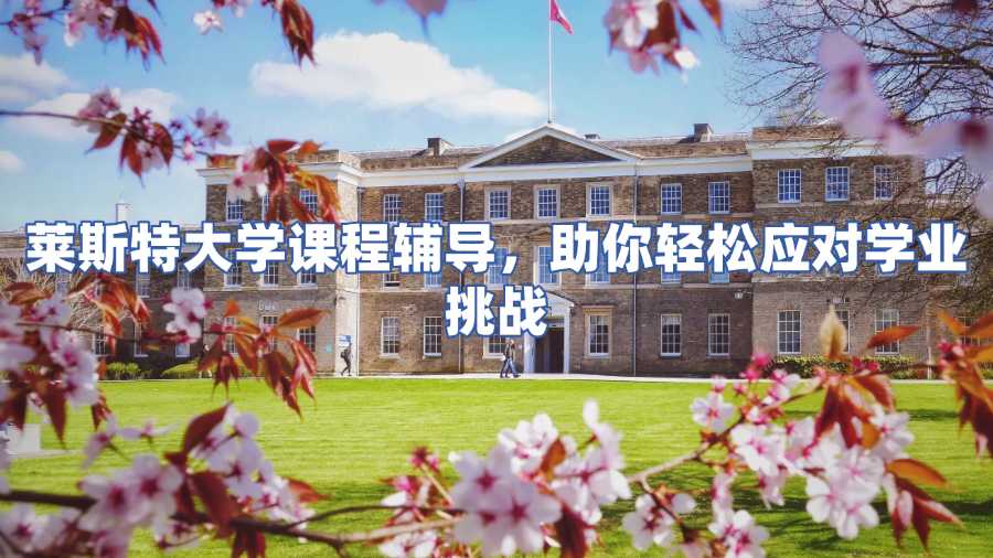 萊斯特大學課程輔導
