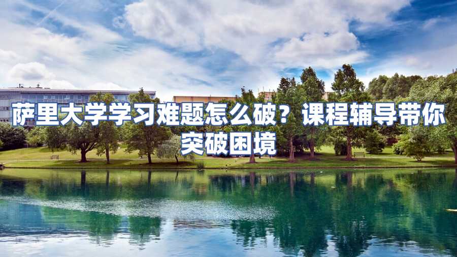 薩里大學課程輔導