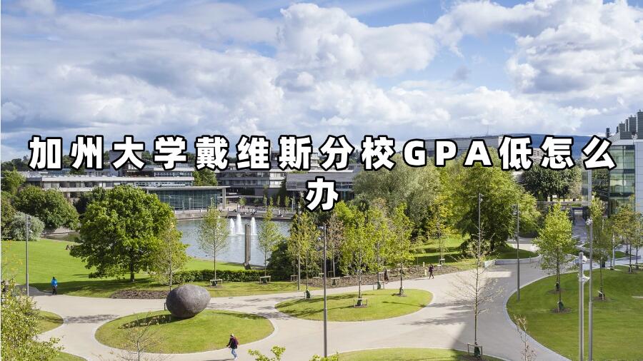 加州大學戴維斯分校GPA低怎么辦