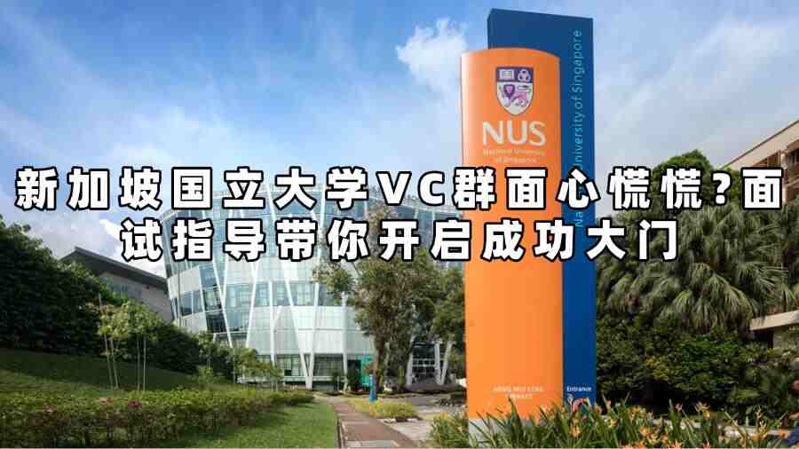 新加坡國立大學VC群面指導