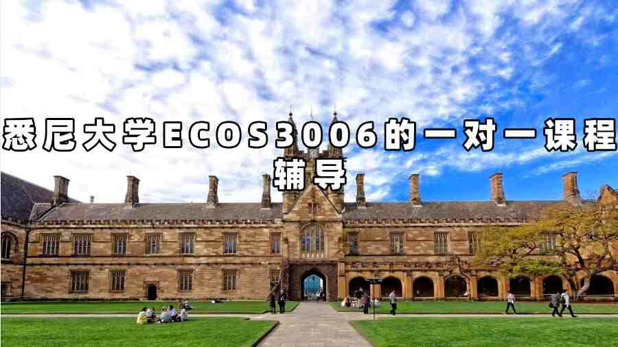 悉尼大學ECOS3006的一對一課程輔導