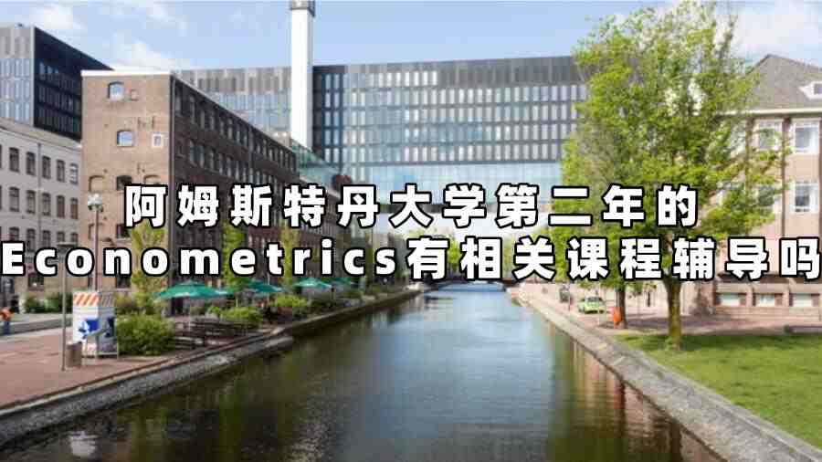 阿姆斯特丹大學第二年的Econometrics有相關課程輔導嗎