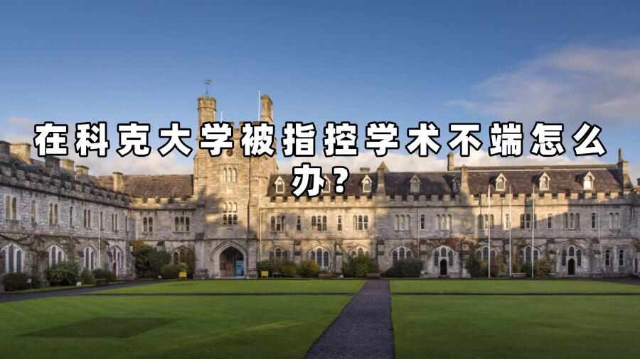 科克大學學術不端