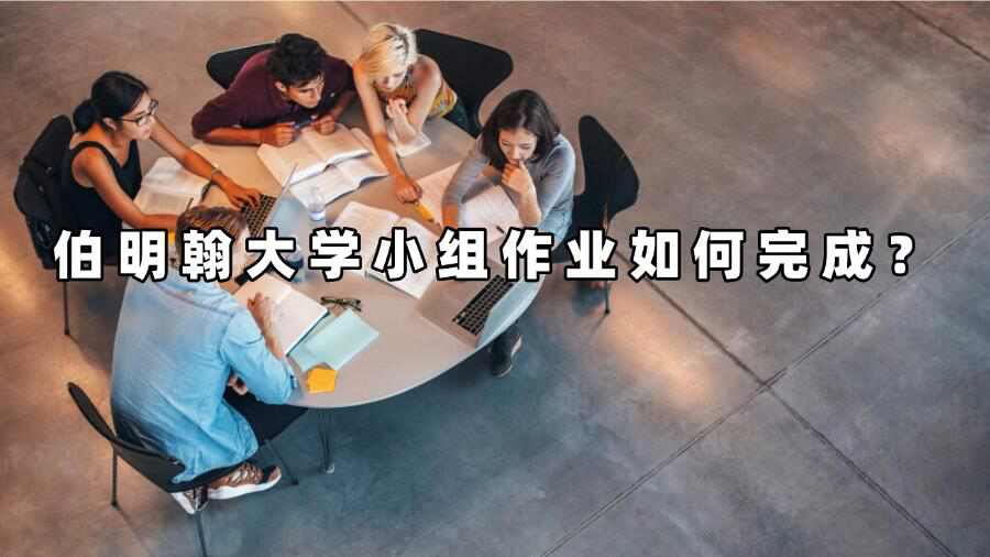 伯明翰大學小組作業(yè)