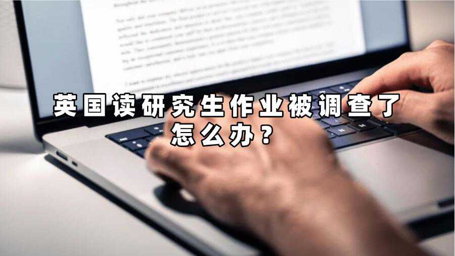 英國讀研究生作業被調查了怎么辦