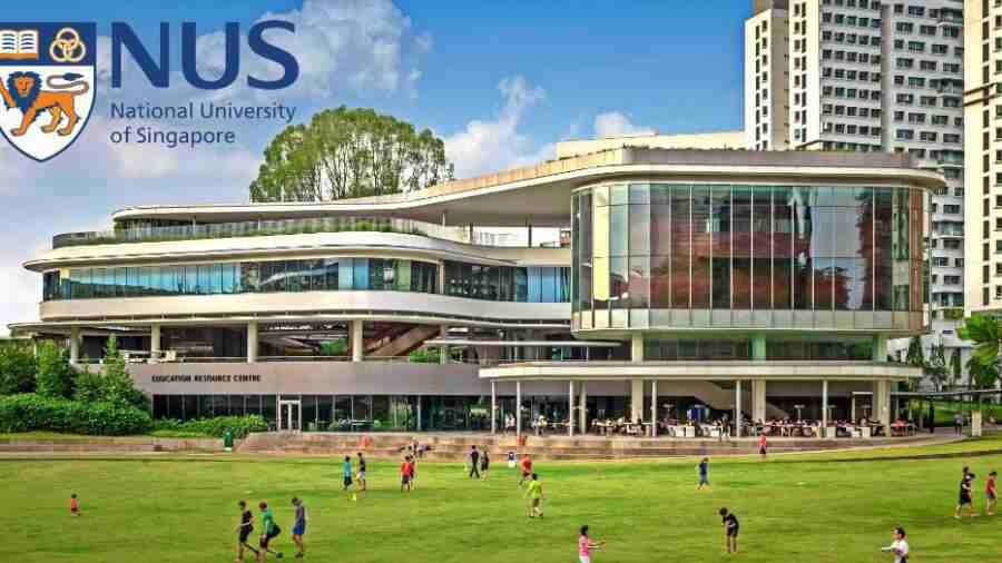 NUS新加坡國立大學MPH公共衛生碩士預習指南