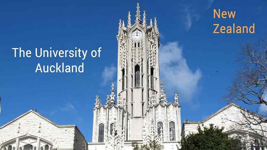 奧克蘭大學法學院大一新生選課攻略