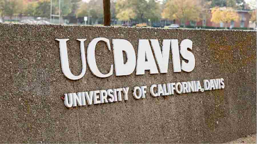 UC Davis暑校課程輔導