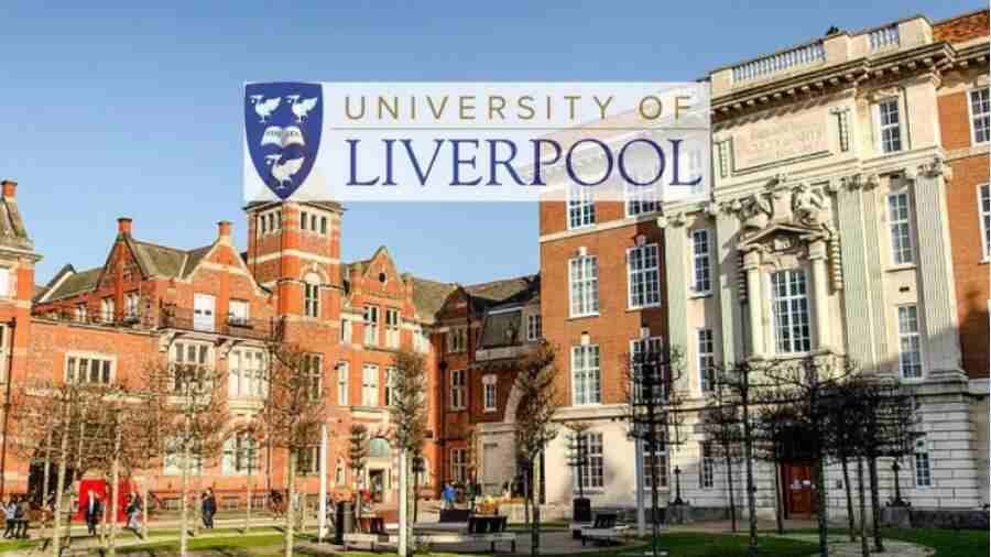 利物浦大學碩士畢業論文被查出來用AI怎么辦