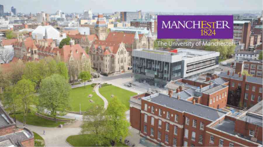 曼徹斯特大學大一經濟學課程預習