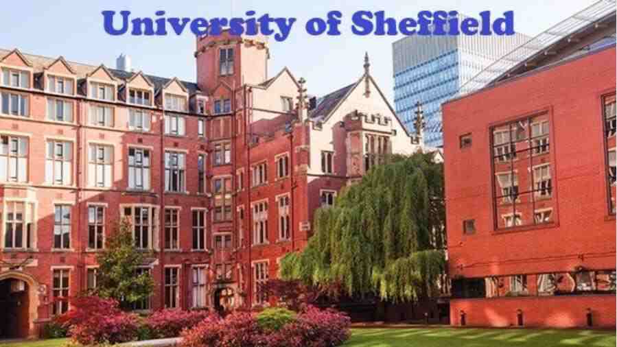 謝菲爾德大學補考掛科怎么辦