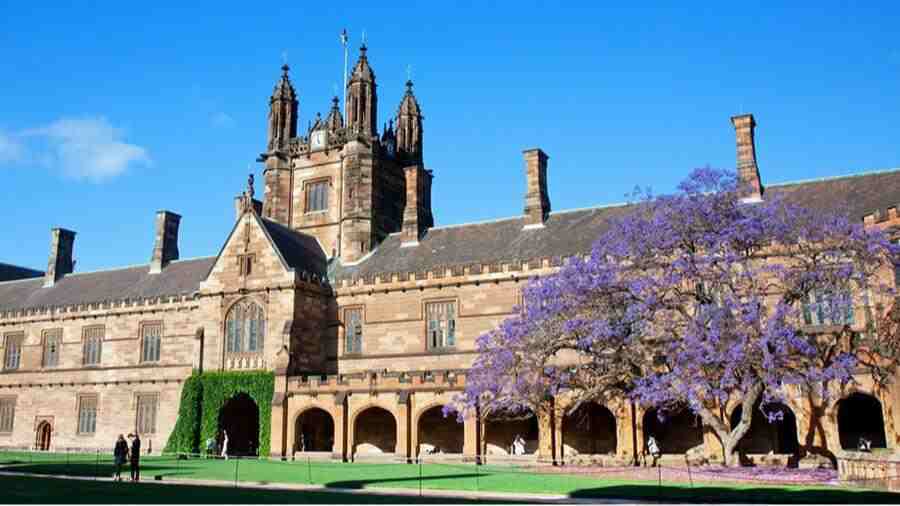 悉尼大學(xué)一門課評級J2怎么辦