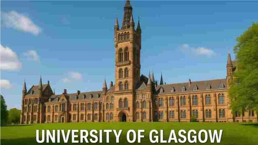 格拉斯哥畢業論文被指控作者身份問題怎么辦